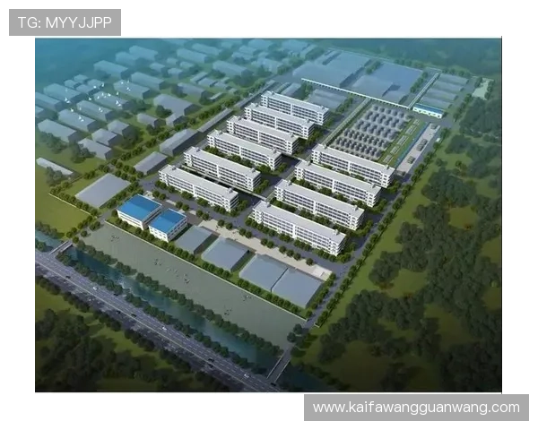 K8登录线路优化方案提升企业访问速度的实用指南